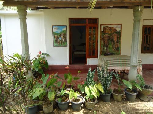 Сигирия: Sigiri Picaso Home Stay