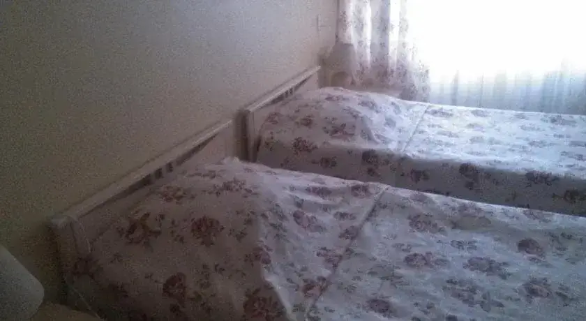 Псков: Vyshka Mini-hotel