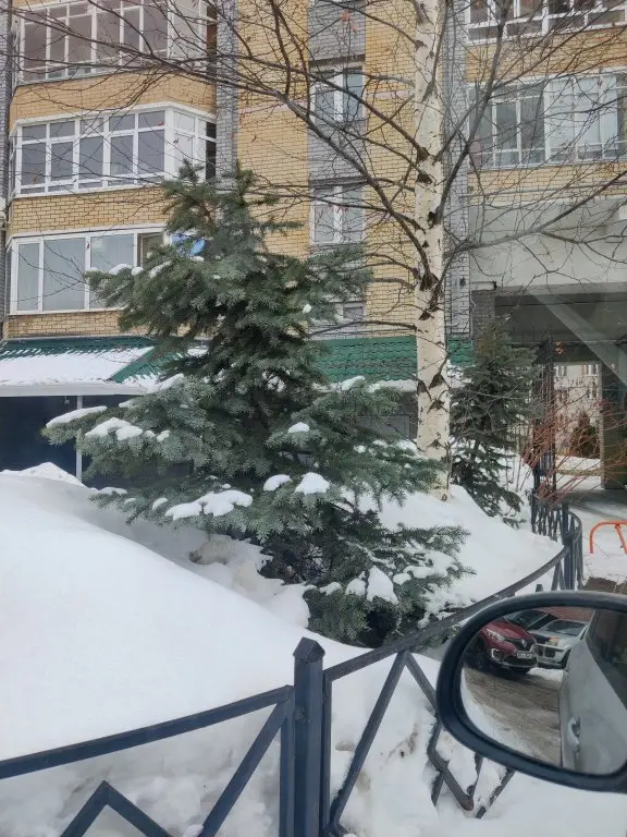 Казань: Апартаменты Sdaem116 on Chetaeva