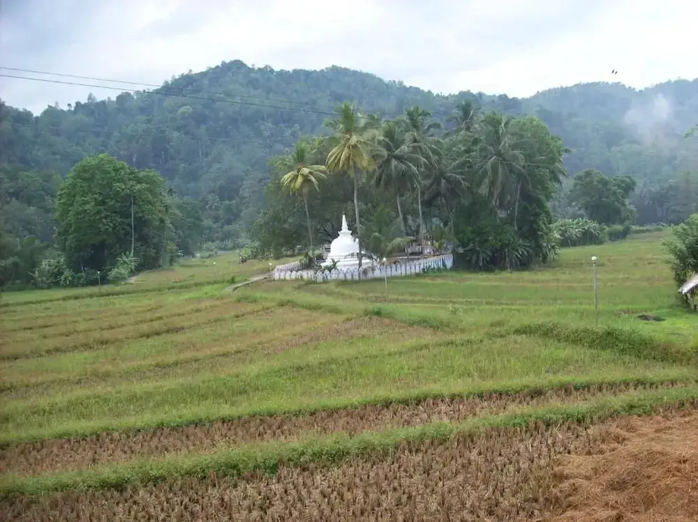 Канди: Ellamale Bungalow