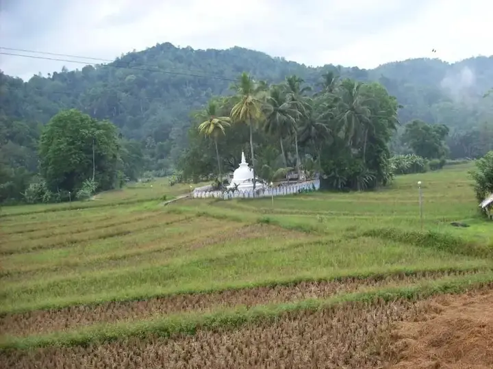 Канди: Ellamale Bungalow