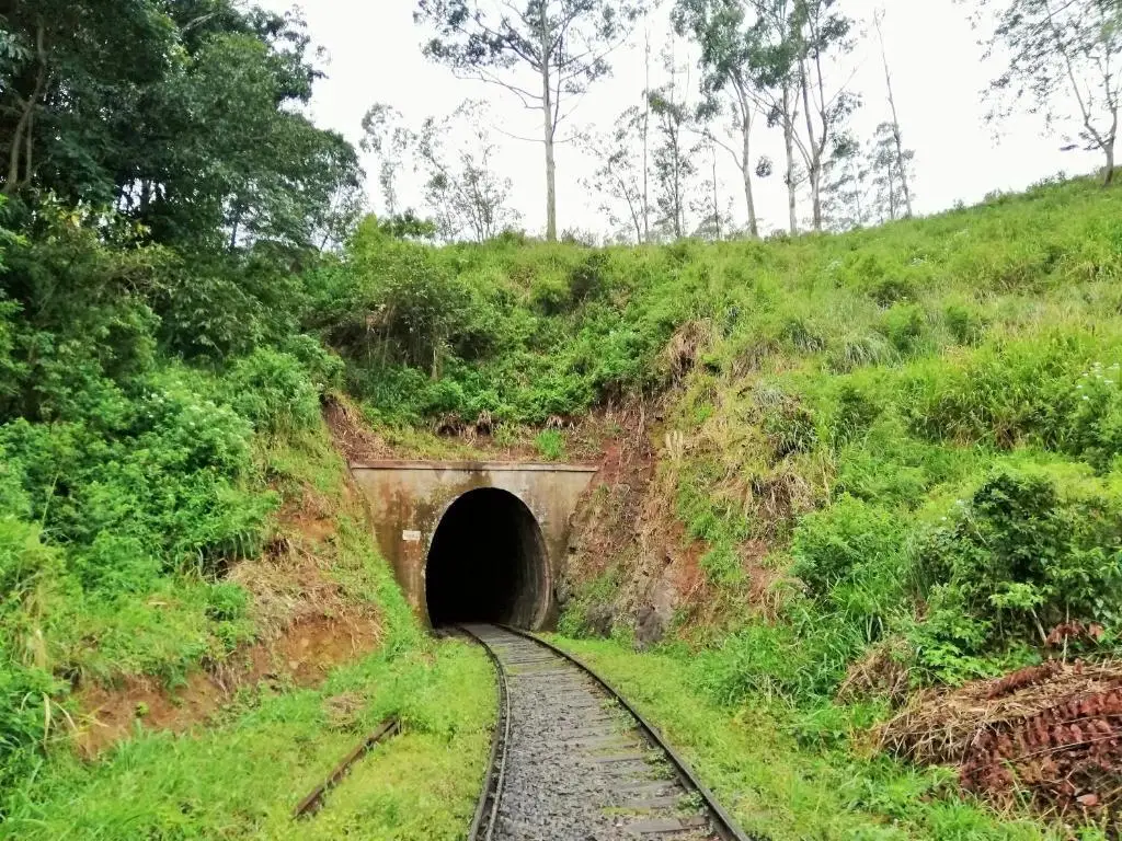 Элла: Eco Point Ella
