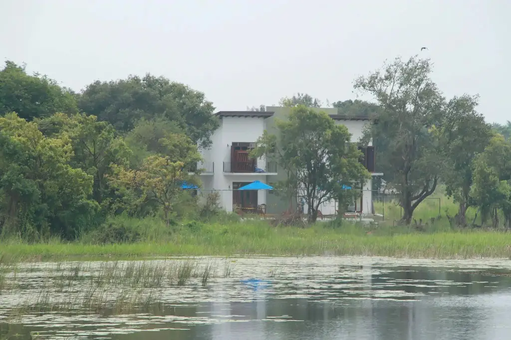 Сигирия: Hotel Wewa Addara
