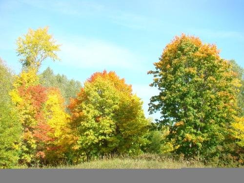 Зеленодольск: Guest house Usadba