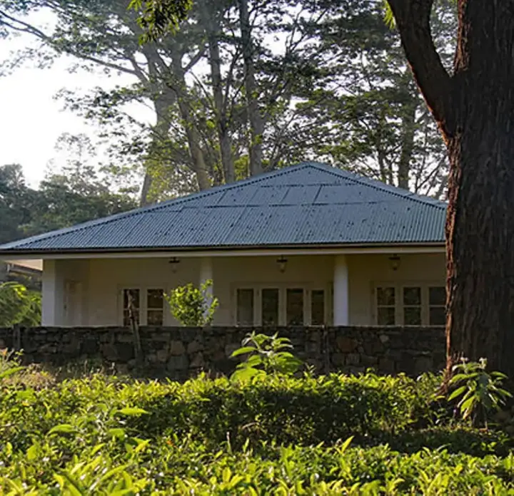 Косланда: The Planters House