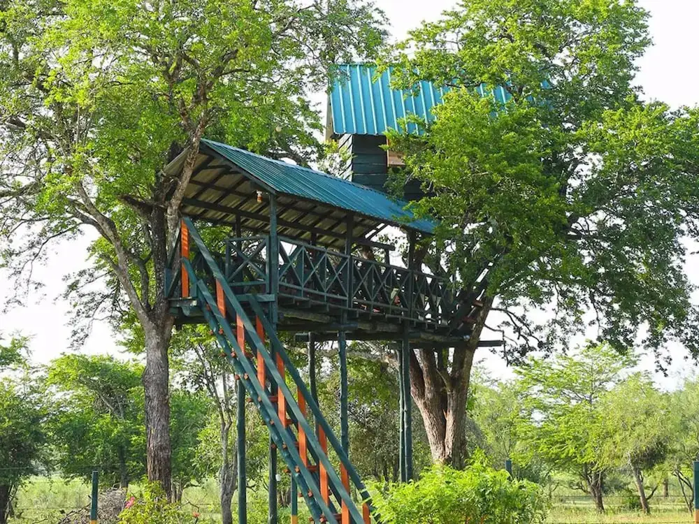 carousel image 3