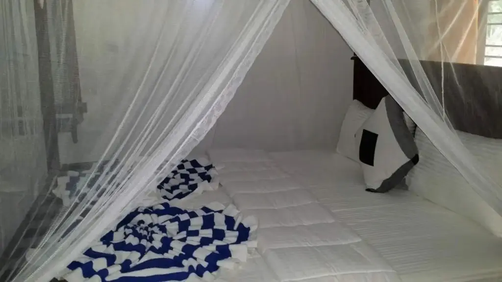 Eco Beach Home Stay — фото 1