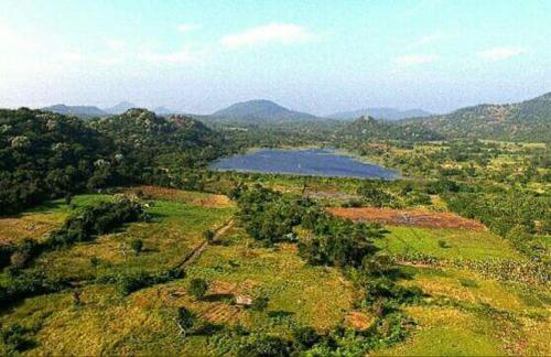 Катарагама: Lake Cabin Kataragama