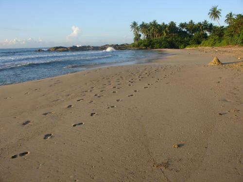 Диквелла: Duwawaththa Beach House