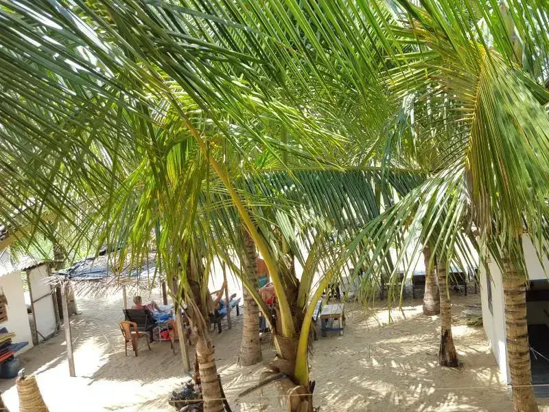 Негомбо: Happy Beach Inn and Restaurant