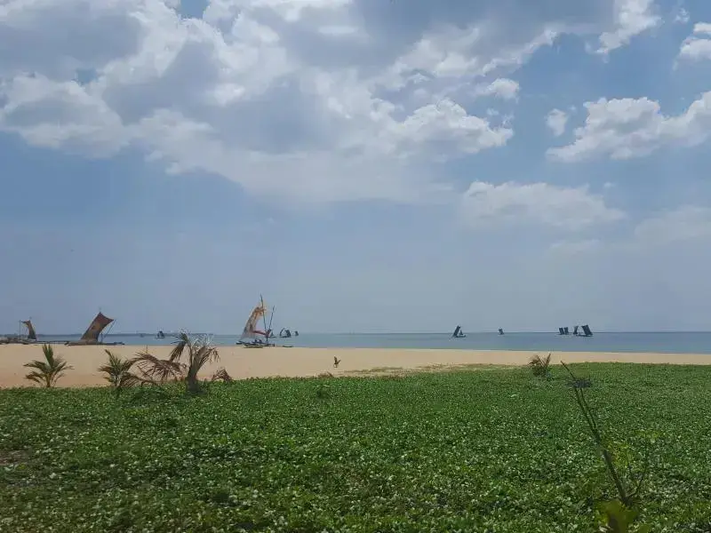 Негомбо: Happy Beach Inn and Restaurant