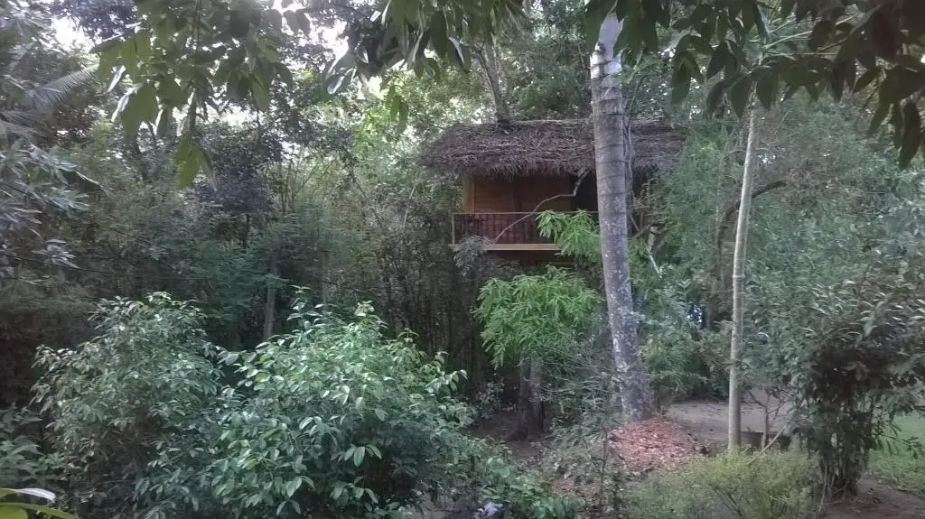 Ахангама: Tree House-Midigama