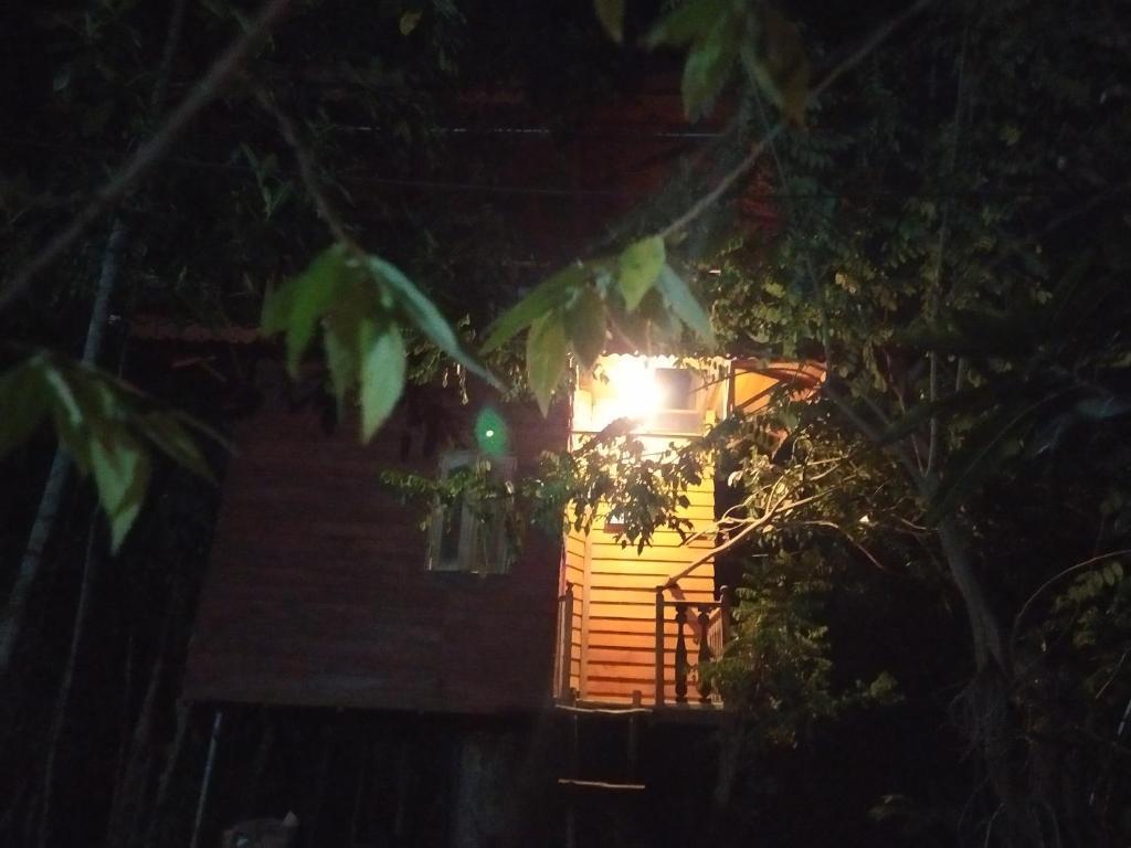 Ахангама: Tree House-Midigama