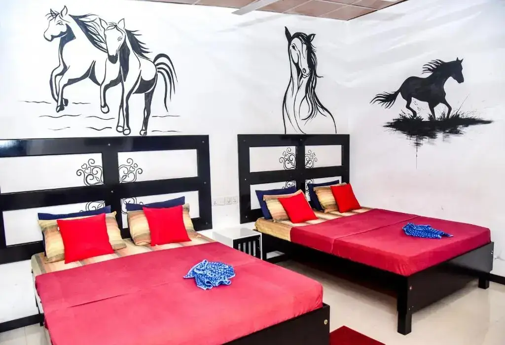 Дамбулла: Isuru City Hotel