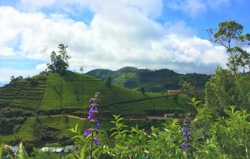 Нувара-Элия: Winter Dream Holiday Bungalow Nuwara Eliya