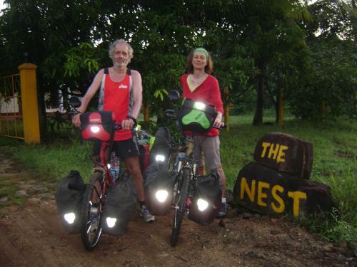 The Nest — фото 1