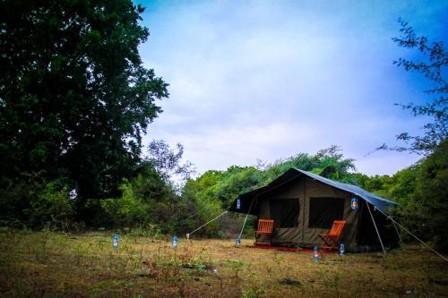 Tuskers Camping — фото 1