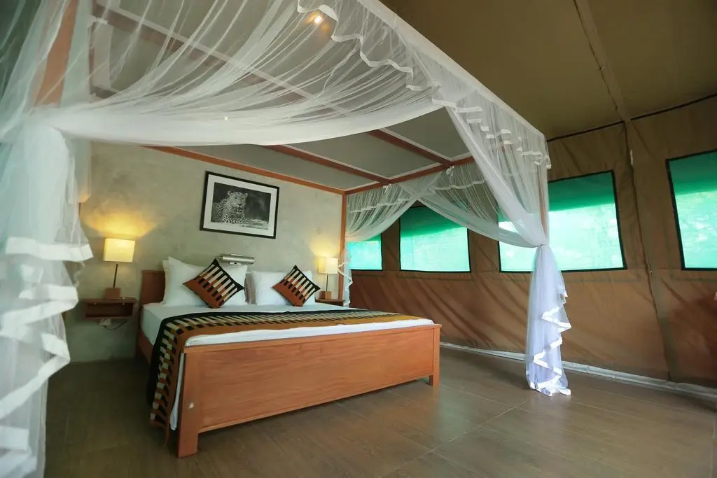 Анурадхапура: Wilpattu Safari Camp - Campground