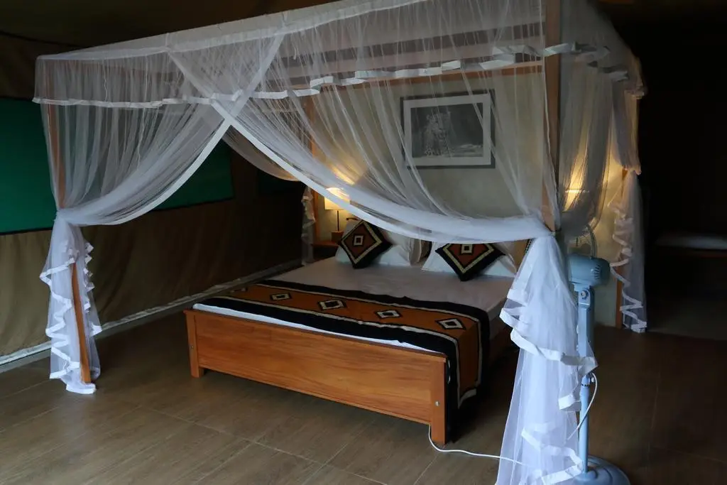 Анурадхапура: Wilpattu Safari Camp - Campground