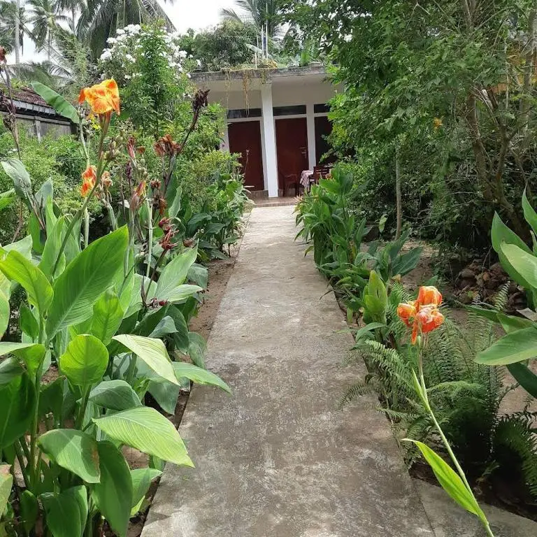 Балапития: Brian's Homestay Balapitiya