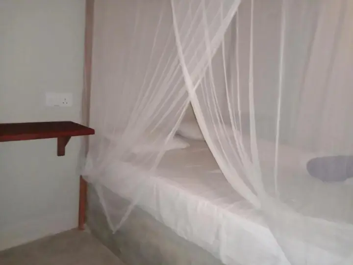 Катукурунда: Coconut Surf Inn