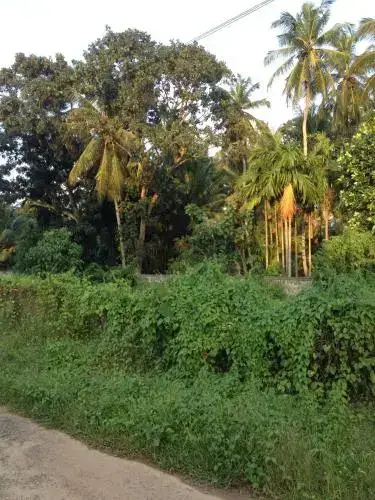 Негомбо: Negombo Residence