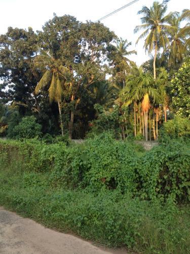 Негомбо: Negombo Residence
