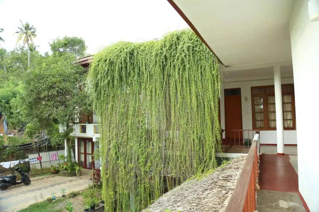 Мирисса: Mount Garden Guest House
