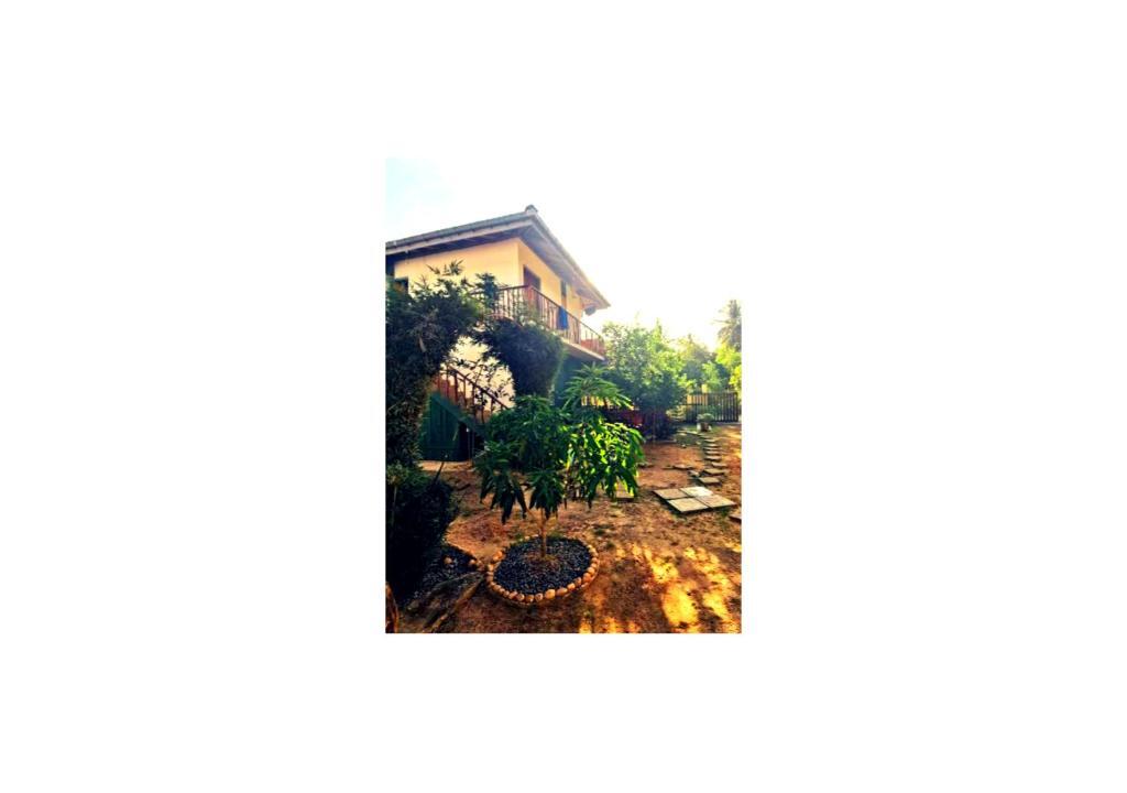Мараколлия: Blue skies guest house and restaurant