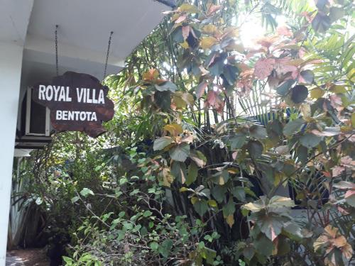 Royal villa — фото 1