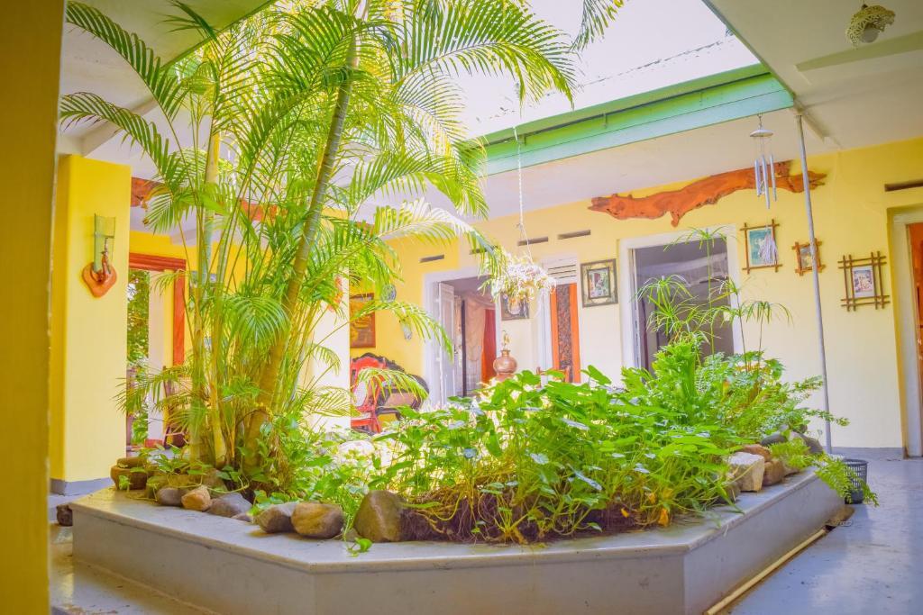 Хиккадува: Shammie Guest House