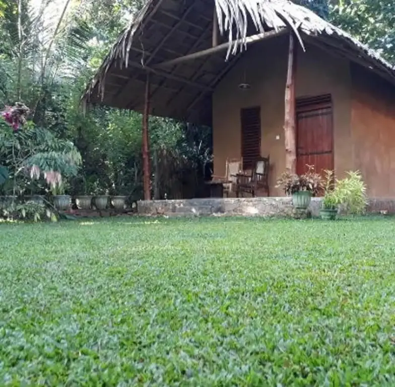 Тимболкетия: Private Organic House