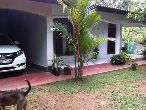Катукурунда: Summer Guesthouse