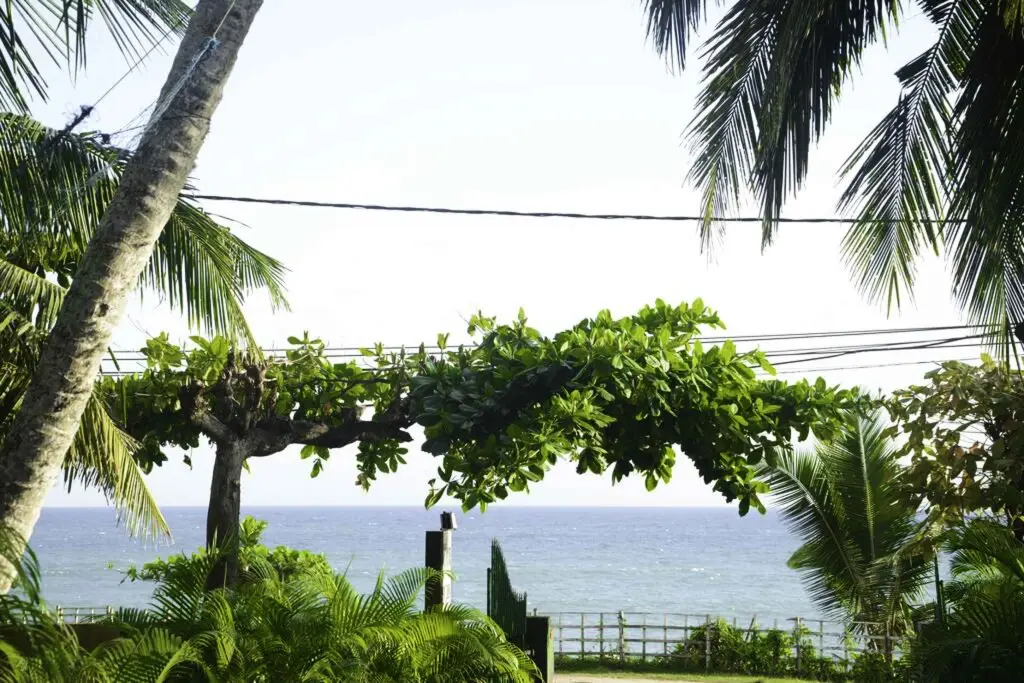 Тангалла: Sea View Tourist Inn