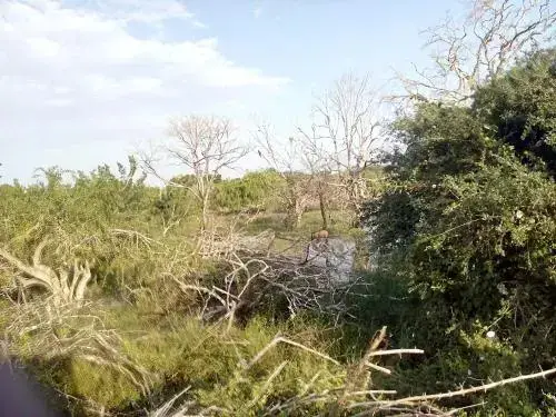 Полватумодара: Lavendra Villa Mirissa