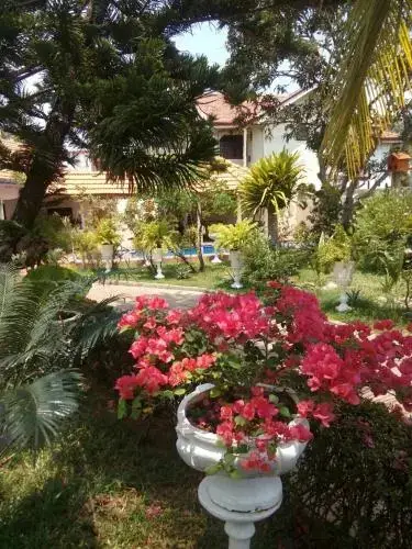 Негомбо: Embiente Guest House