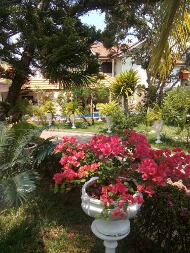 Негомбо: Embiente Guest House
