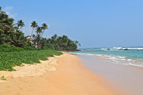 Катукурунда: Placid Beach