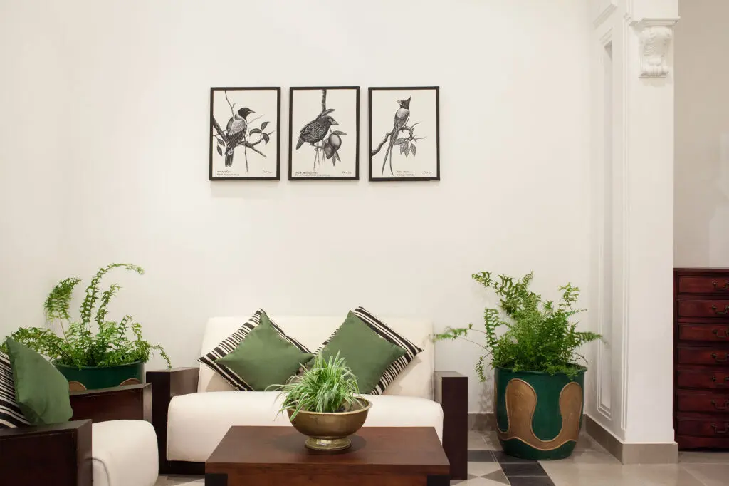 Берувела: Plantation Villa Ayurveda Yoga Resort