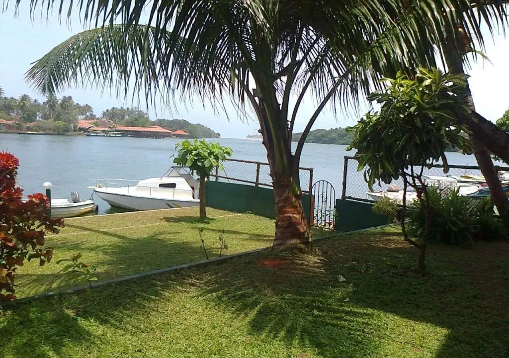 Ganga Garden — фото 1