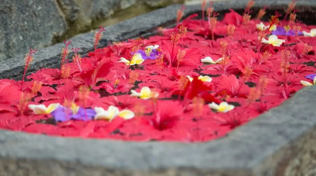 Ахунгалла: Отель Roman Lake Ayurveda Resort