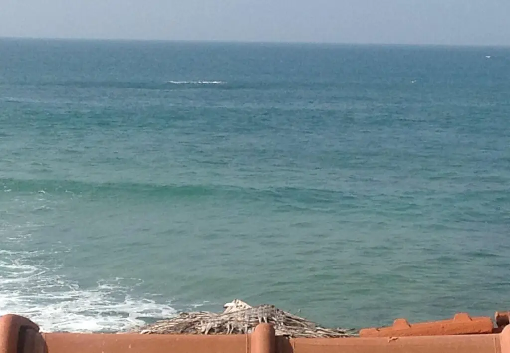Хиккадува: Budde's Beach Restaurant & Guesthouse