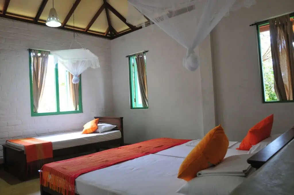 Ранна: Back of beyond -  Wellness Retreat
