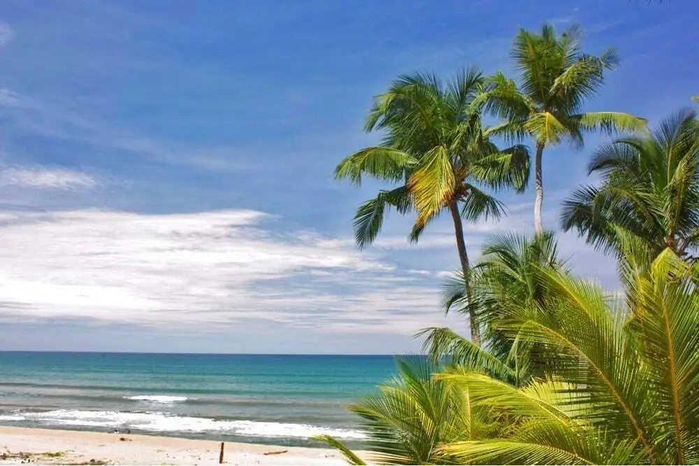 Ваддува: Shalimar Beach Resort