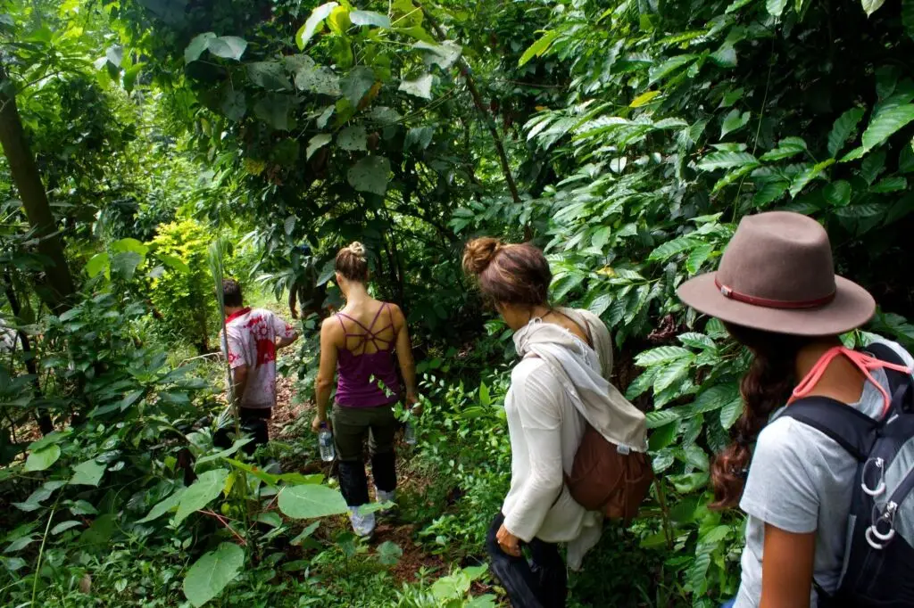 Канди: Polwaththa Eco Lodges