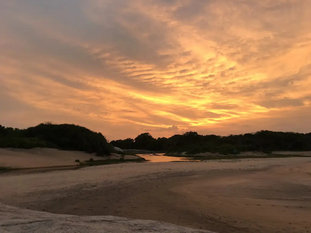 Аругам-Бэй: Arugam Bay Surfing Resort
