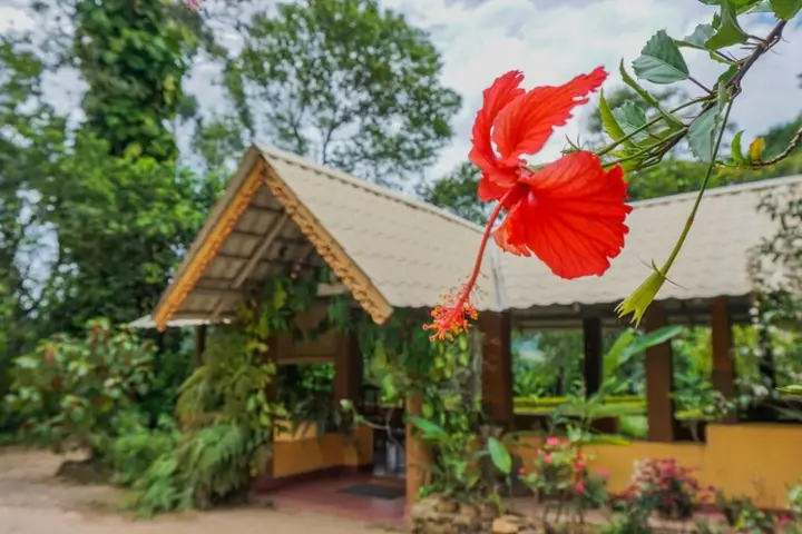 Элла: Sunnyside Holiday Bungalow