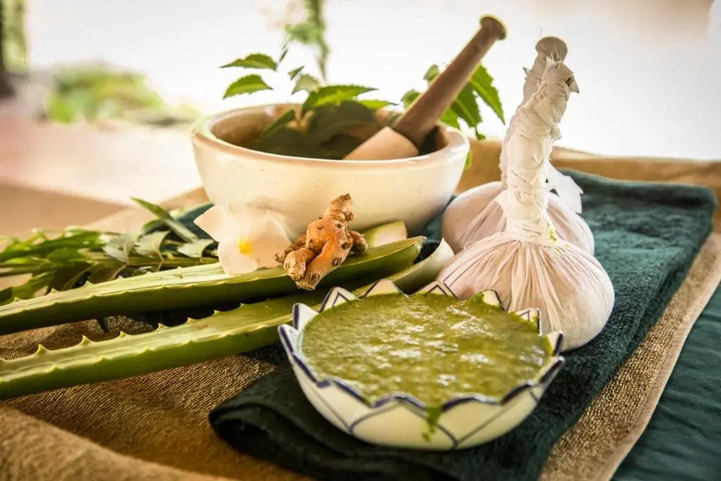 Япахува Джанкшен: Ayurveda Kuren Maho