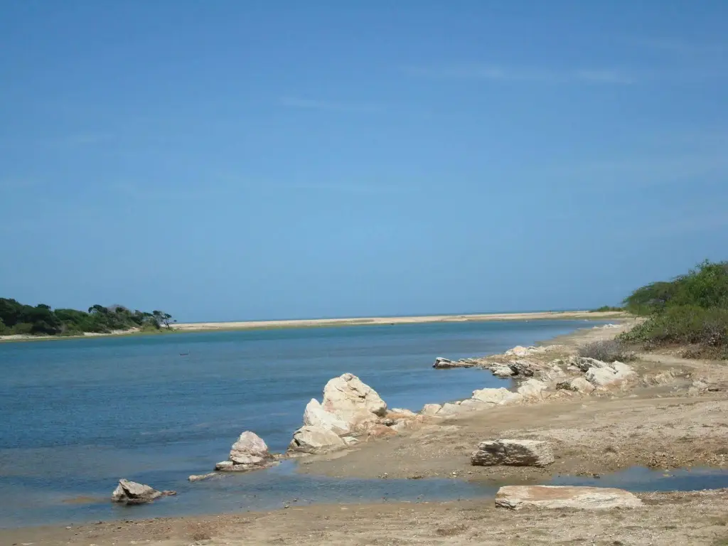 Кумана: Explorer by Eco Team - Kumana National Park