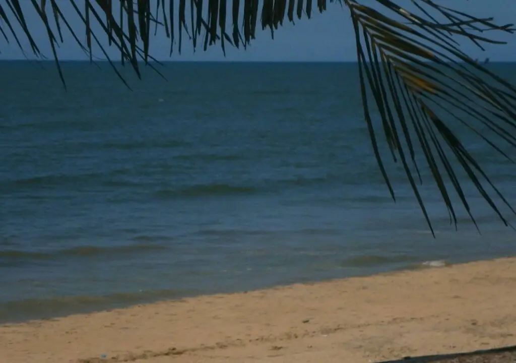 Негомбо: Winston Beach Guest House